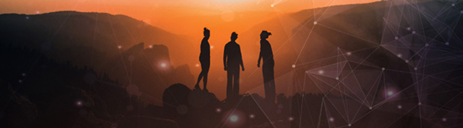 Holomovement banner