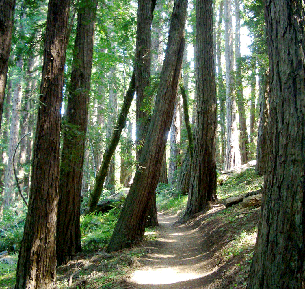 Navigating the Road to Renewal