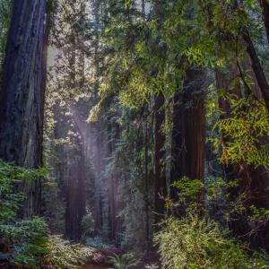 Care and Feeding of the Soul