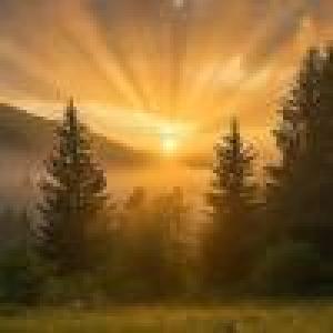 Ground Your Life Through Practice Program - Registration