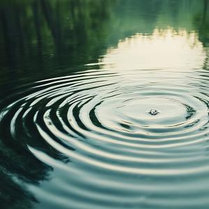 The Silent Pulse: An ITP Retreat – Registration The Silent Pulse: An ITP Retreat – Registration