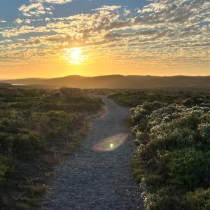 ITP Pathways to Practice