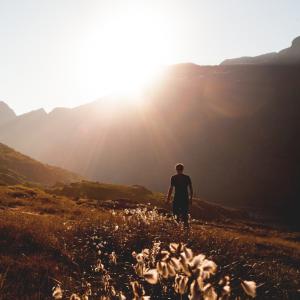 Integral Leadership Mastery Program - Registration
