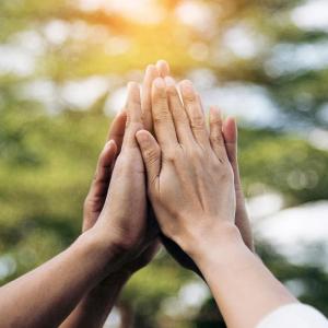  Mastering the Art of Cooperation