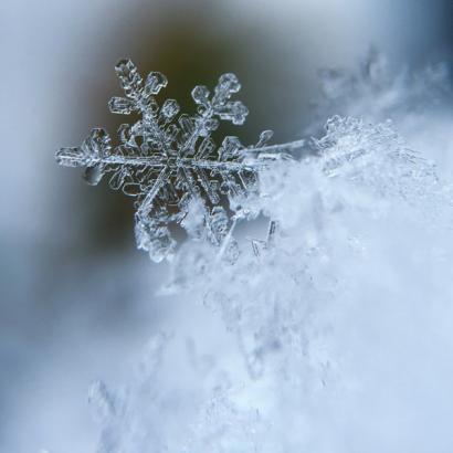 ITPI Newsletter Articles - Winter 2014 ITPI Newsletter Articles - Winter 2014