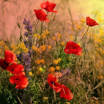 ITPI Newsletter Articles - Spring 2022 ITPI Newsletter Articles - Spring 2022