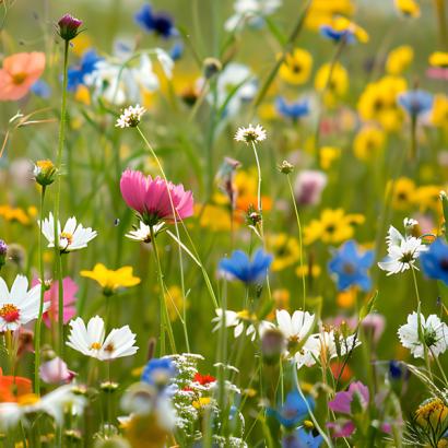 ITPI Newsletter Articles - Spring 2025 ITPI Newsletter Articles - Spring 2025