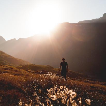 Integral Leadership Mastery Program - Registration