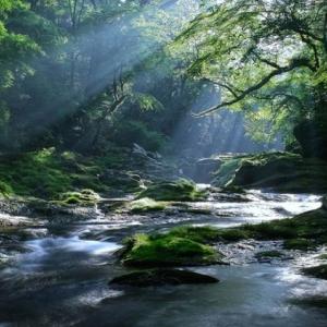 Integral Reflection on Imagination