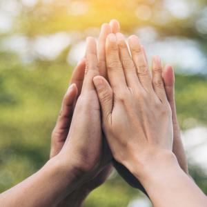 Hands