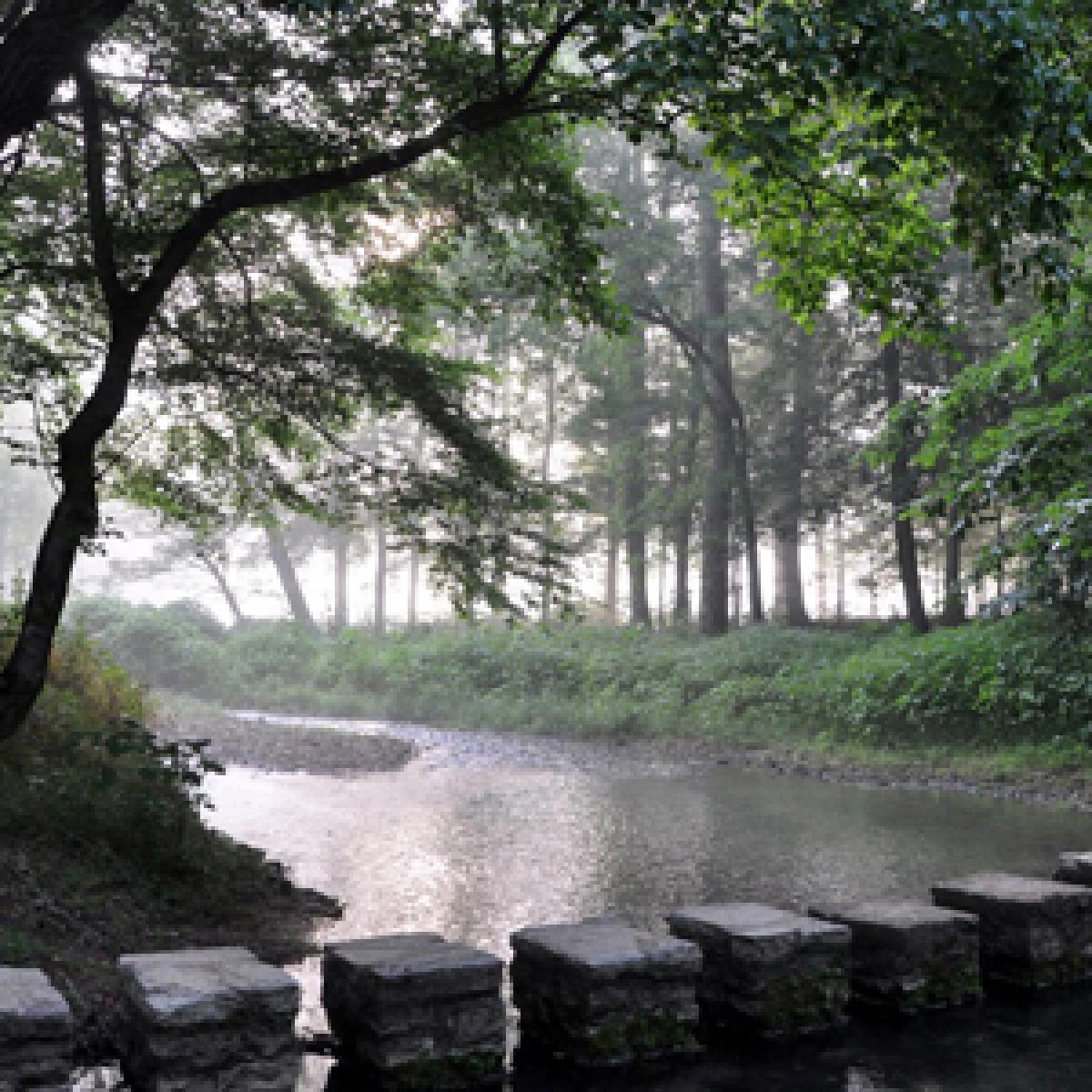 ITP Pathways to Practice