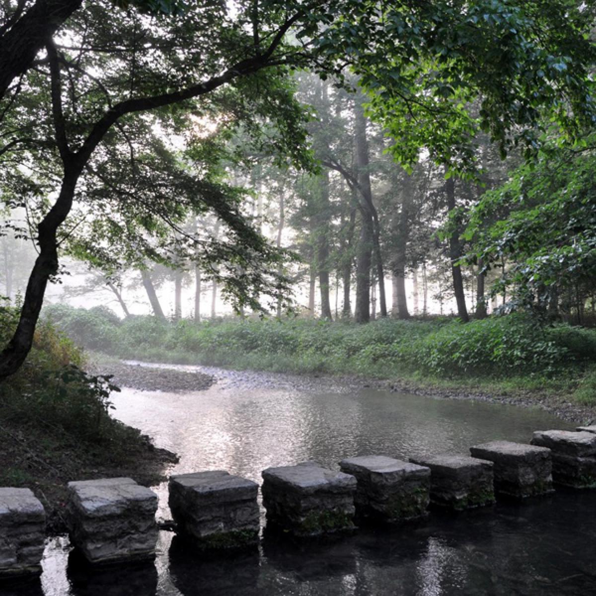 ITP Pathways to Practice